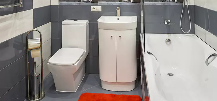 Hansgrohe Shaving Mirror West Bend